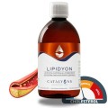 Lipidyon catalyons