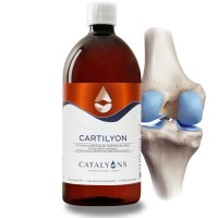 CARTILYON - 1 Litre Confort articulaire - Catalyons
