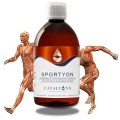 Sportyon catalyons