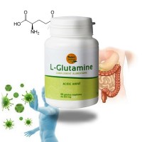 L-GLUTAMINE - Intestin et muscules - Nature et Partage