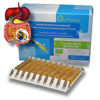 CHARDON-MARIE - OxyPhyteau - Détox et Foie - Boîte de 40 amp.