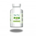 MAG-Plex  Effiplex DR Schmitz 