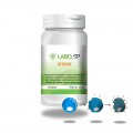 BETACINE - laboSP