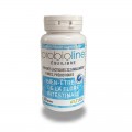 PROBIOLINE 60 caps - Microbiote et Équilibre Intestinal - LT Labo