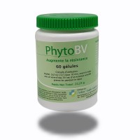 PHYTOBV- Syndrôme grippal - Infections - Perfect health Solutions