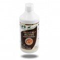 OLIVITAL ACTIVE Purifiez votre organisme - 500ml - SFB
