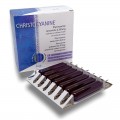 CHRISTOCYANINE Jade Recherche 