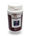 CISTUS CRETICUS  Irelia