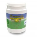 MEMORINDA 90g poudre Jade Recherche 