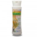 SHAMPOO JADE shampoing Jade Recherche 