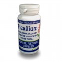 FLEXILIUM 100 gélules - Silice, Glucosamine et Chondroïtine - LT Labo