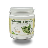 Artémisine -Artemisia annua- Armoise - 180 gélules
