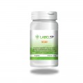 GCAO - laboSP