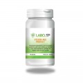 VISION AGE PROTECT  laboSP