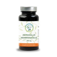 Astragalus Membranaceus 300 mg - Planticinal