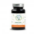 Shilajit 600 mg - Planticinal