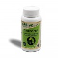 GRIFFONIA - 99 mg de 5-HTP - 60 gél. - Sommeil et Moral - SFB