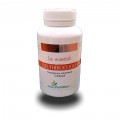 ELEUTHEROCOQUE - efforts physiques et intellectuels - EasyNutrition
