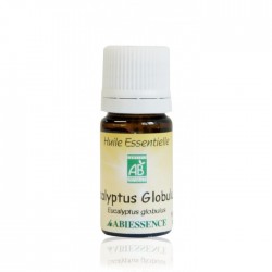 EUCALYPTUS GLOBULUS - 10ml Huile essentielle bio - Abiessence