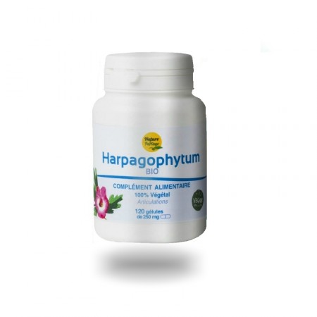 HARPAGOPHYTUM - 120 comp. Intestin et muscules - Nature et Partage