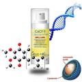 Coenzyme Q10 LIPOSOMÉ - anti-vieillissement - Perfect Health Solutions