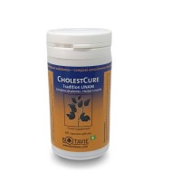 COLESTCARE - CHOLESTCURE Equilibre du cholestérol - Botavie