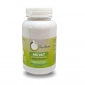 MetOUT 180  Effiplex Dr. Schmitz 