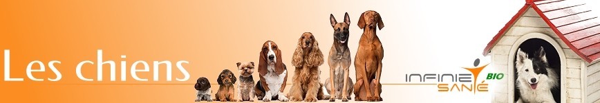 Pour CHIENS