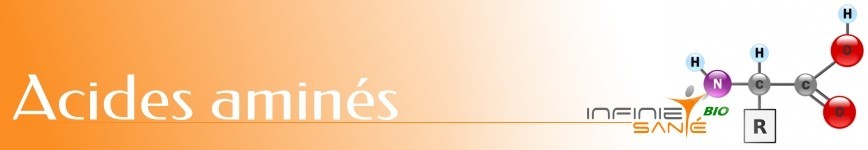 Acides aminés