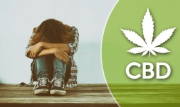 CBD, stop cigarette !