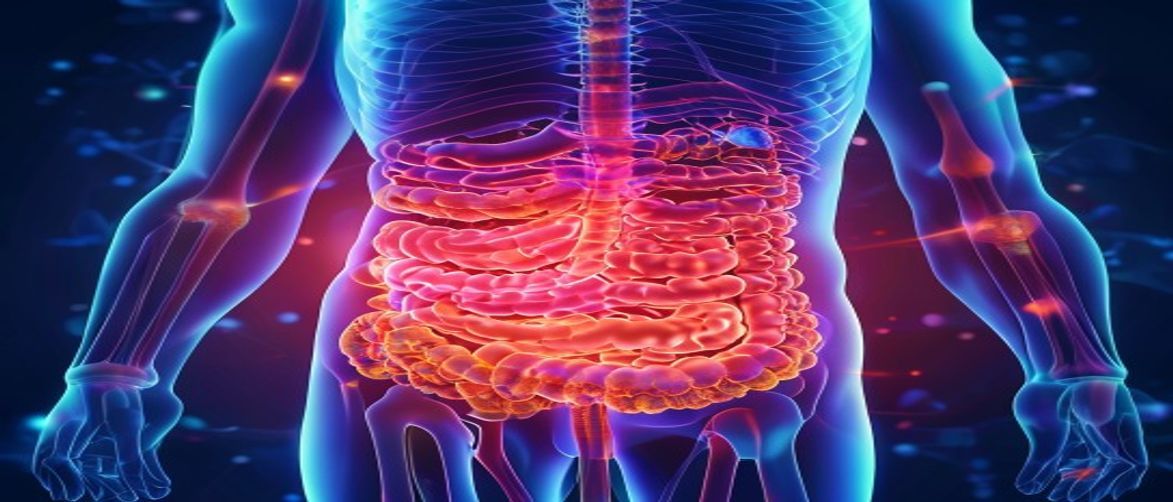 Human digestive system anatomy illustration colorful intestines cross-section gut microbiome healthy flora dark background medical 3D render wide cinematic 21:9