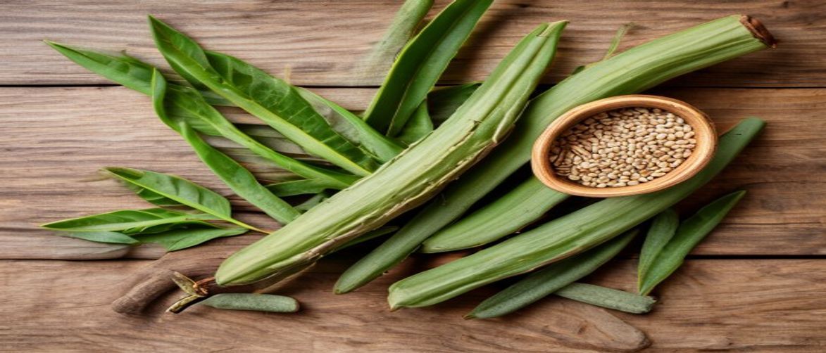 Medicinal plants for constipation relief aloe vera fresh leaves psyllium husks senna pods tamarind fruit natural wood background botanical photography 21:9