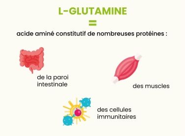 glutamine