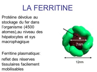 hyperferritinémie ferrilo infinie sante ferrilow