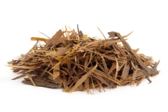 lapacho écorce cancer santé phytotyérapie