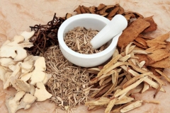 lapacho écorce cancer santé phytotyérapie