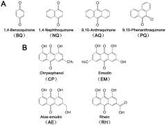lapacho écorce cancer santé phytotyérapie