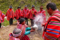 lapacho écorce cancer santé phytotyérapie