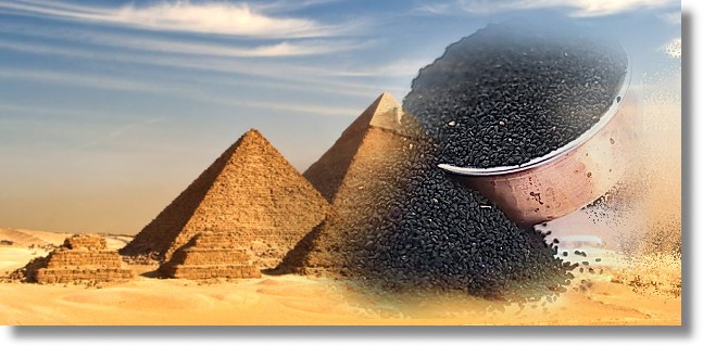 nigelle cumin noir d'Egypte