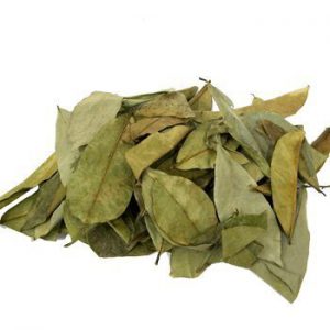 graviola corossol