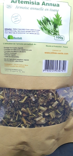 artemisia
