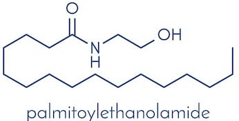 PEA palmitoyléthanolamide hexa cube