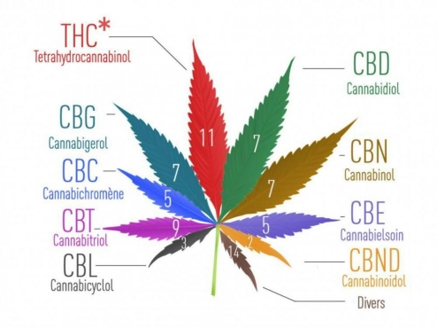Cannabionïdes