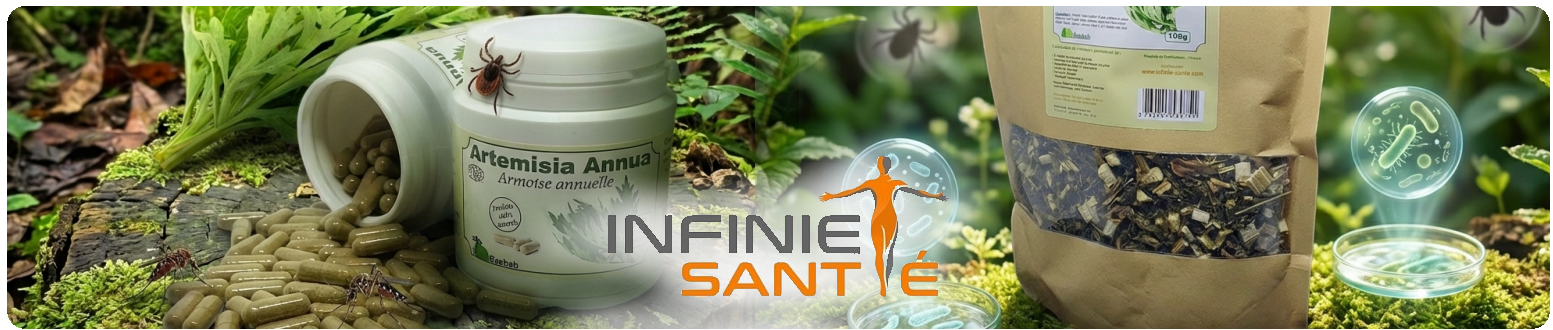 Artemisia Annua en gélules et extraits naturels pour le soutien immunitaire et anti-parasitaire