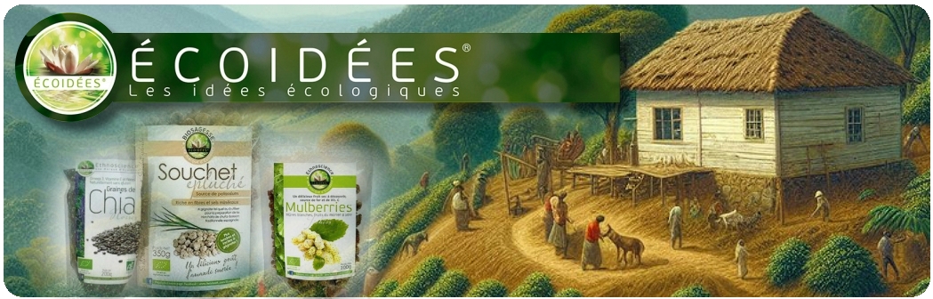 ecoidées - les idées écologiques