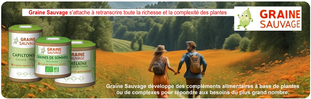 graine sauvage compléments alimentaire santé