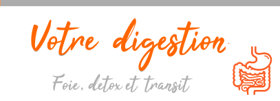 digestion