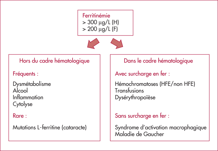 Hyperferritinémie