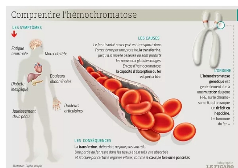 hémochromatose, ferrilo, hyperferritinémie
