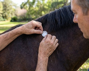 aculife patch lifewave infinie santé